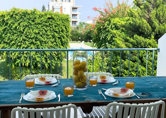 Zima Cove Calm Coastal Oasis