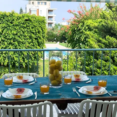 Zima Cove Calm Coastal Oasis